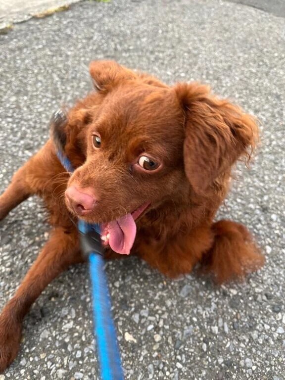 遅くなりましたが