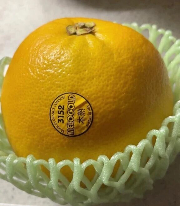 メロゴールド💕