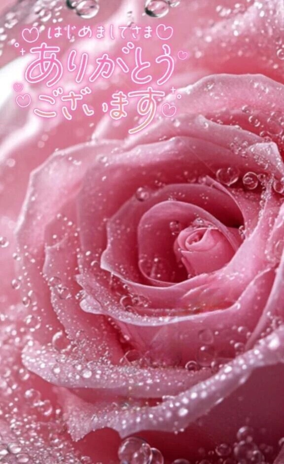 昨日の🎀お礼です