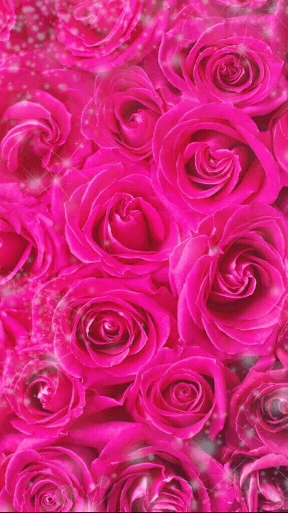 どこでしょうか