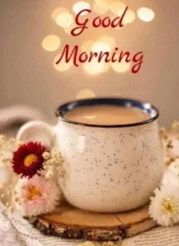 11時から出勤😌