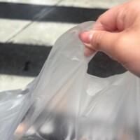 杏奈（あんな）