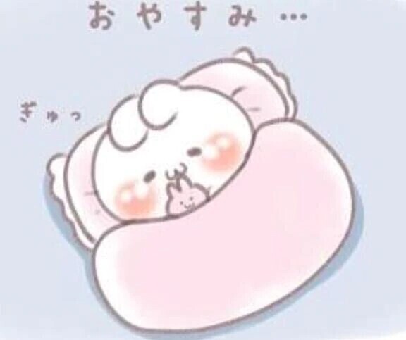 そろそろお布団に😌