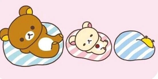 リフレッシュ日✨