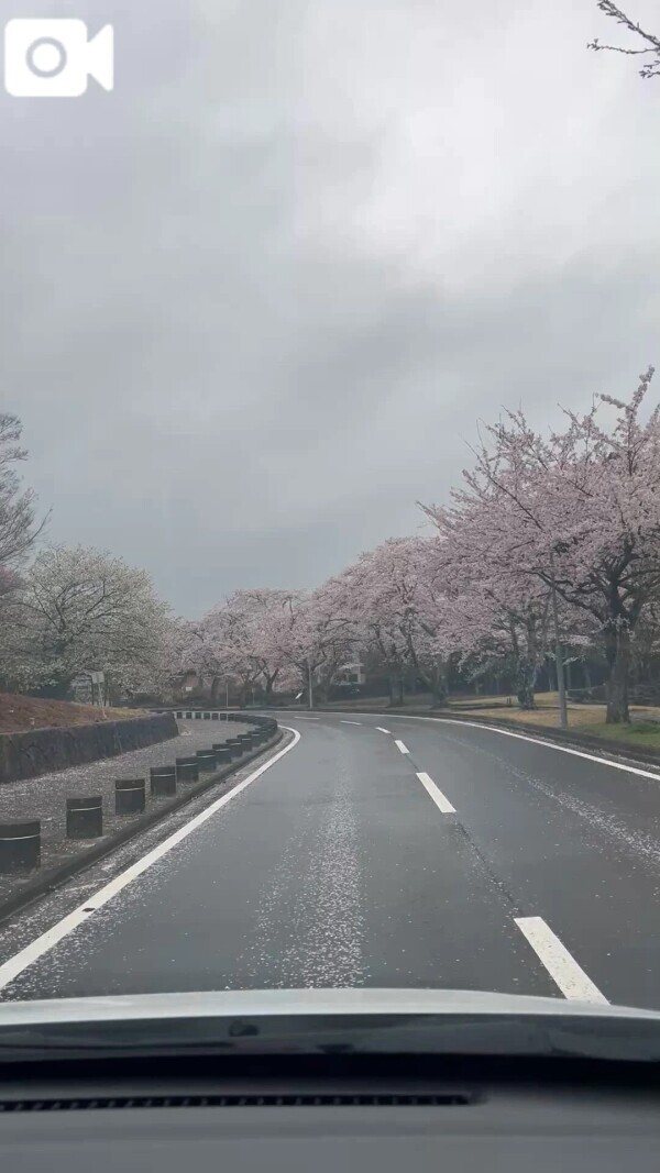 パワーチャージ💪🌸