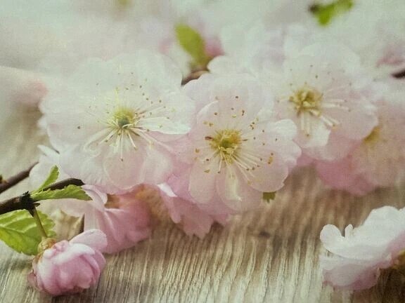 貴方がいるから頑張れます