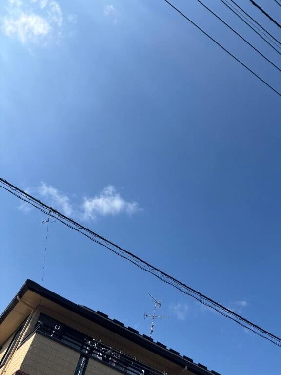 青々としてる空☺️