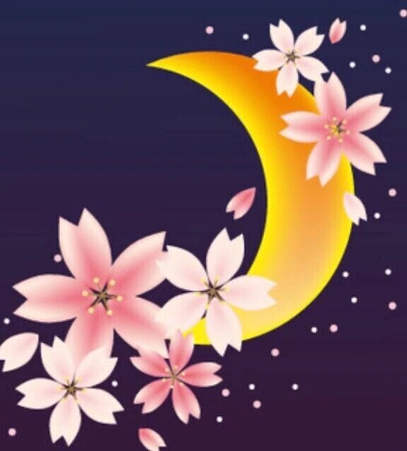 おやすみなさい🌙