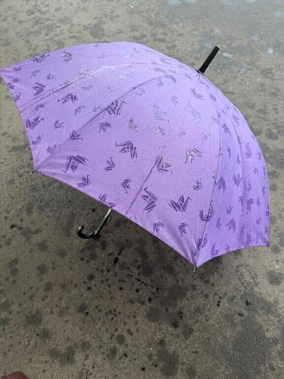 雨ですね