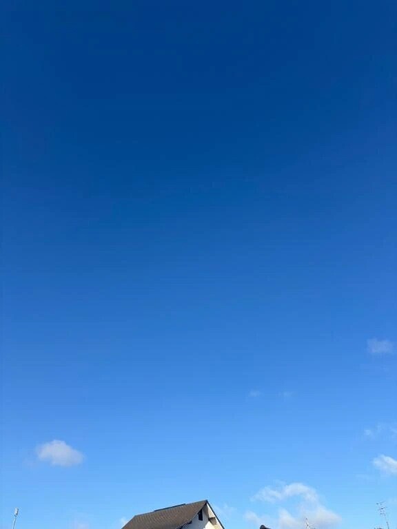 晴れてるー！☀️