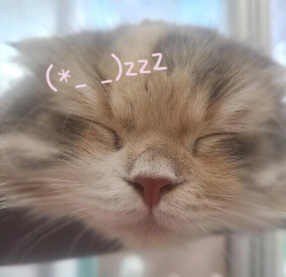 素敵な初日でした🥰️