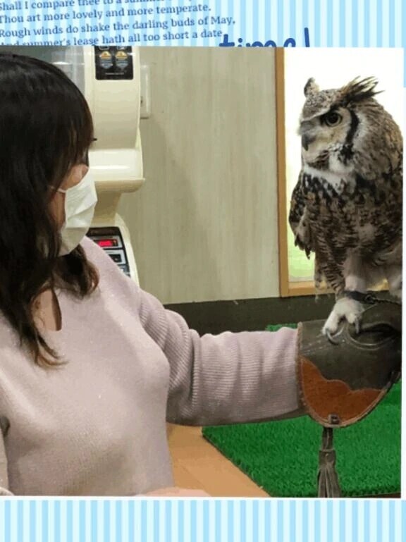 1日お手伝い