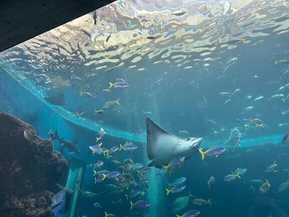 水族館❤️❤️❤️