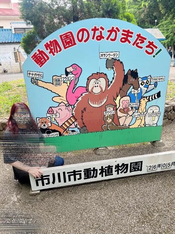 マイガール登録🫶💕