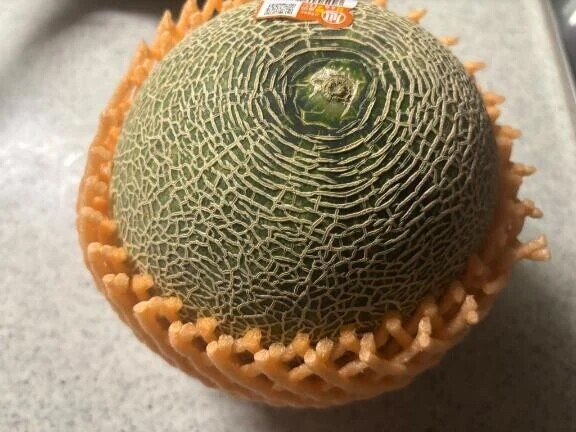 メーロン🍈