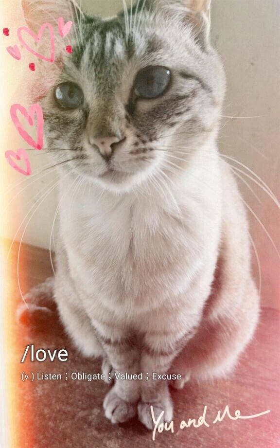 好きなもの💖