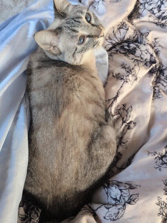 朝のルーティン☀️