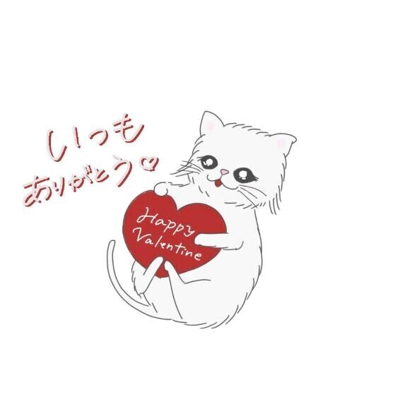今日も