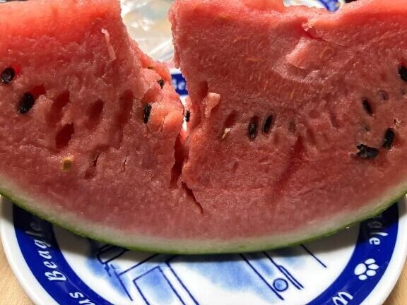 今年初！🍉