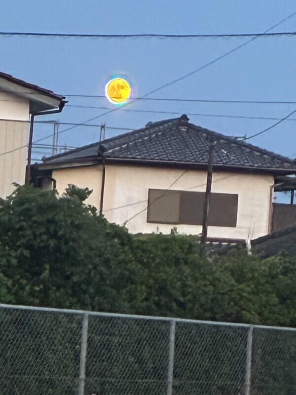出勤したよ