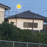 ふうか