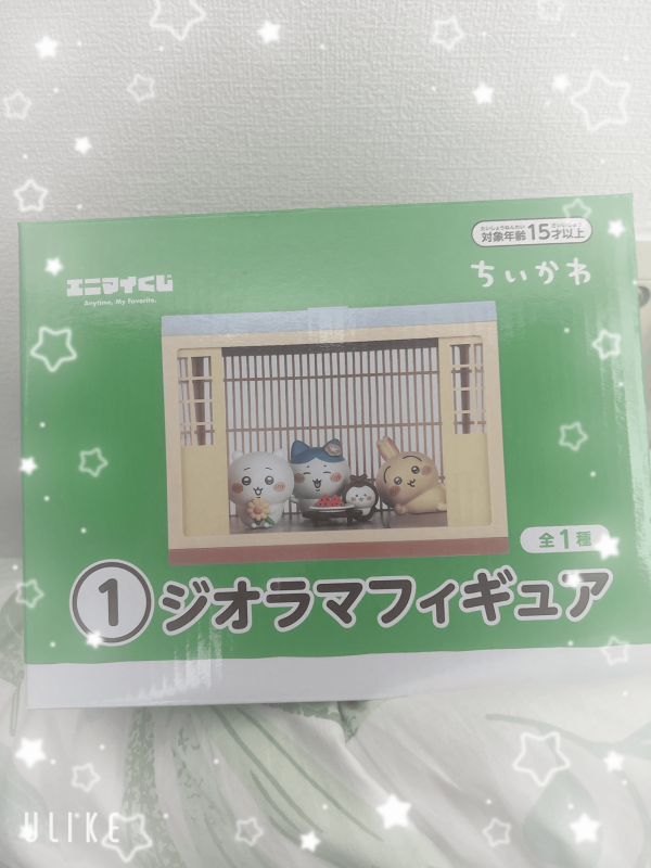 出勤しました♪