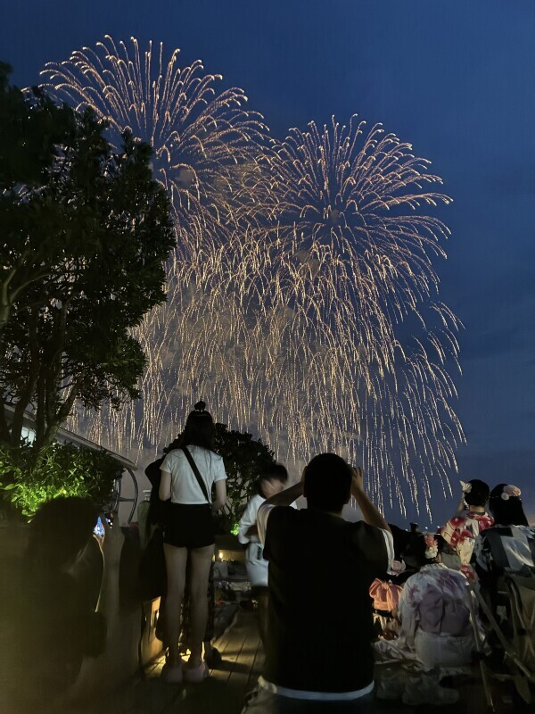 夏だね