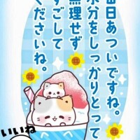 ふうか