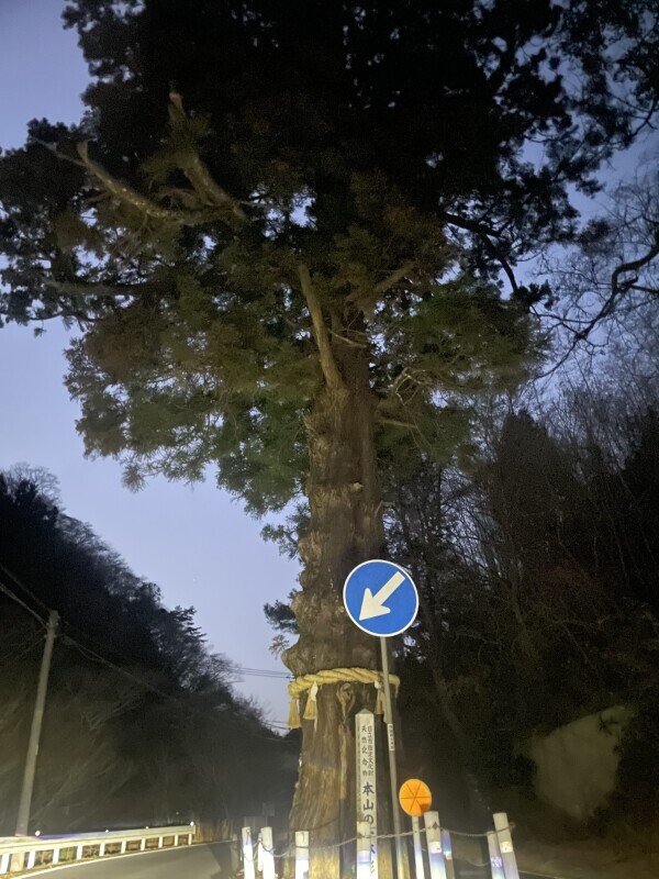 行ってきました