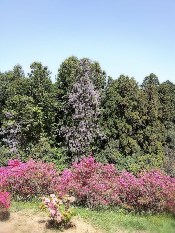 気分があがる朝ご飯
