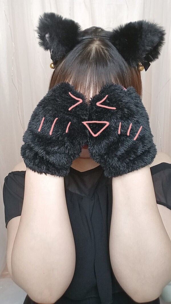 秘密のねこちゃん