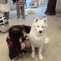 こんばんは?