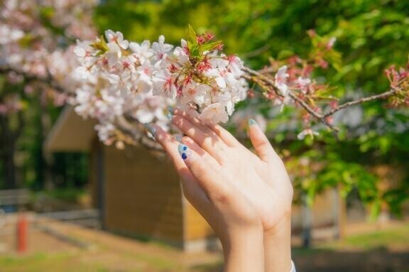 おねがい