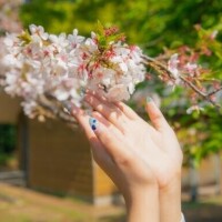 おねがい