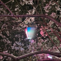 変更ごめんなさい?