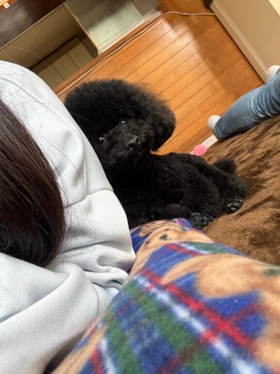おはよん