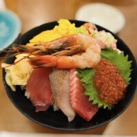 富田 めぐ