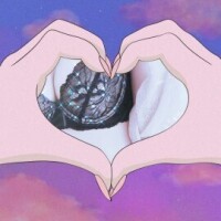 高宮 かなで