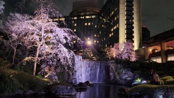 ☆お花見☆