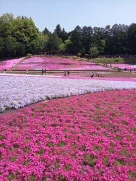 出勤しました(*^-^)