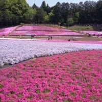 須田 まみ