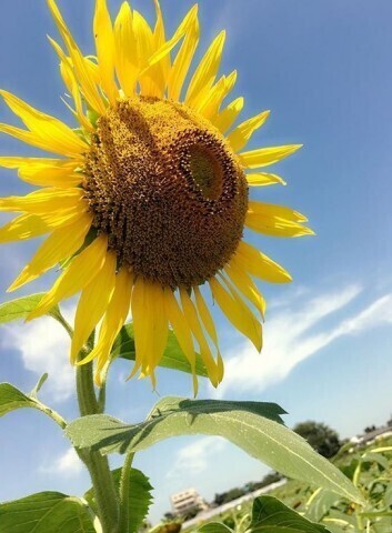 5月11日(日)のお礼