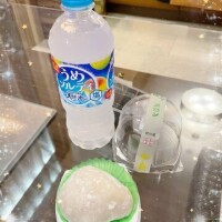 藤木 みき