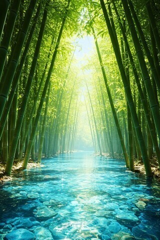 大丈夫だったかな?