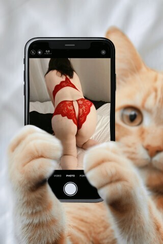 ありがとう御座います