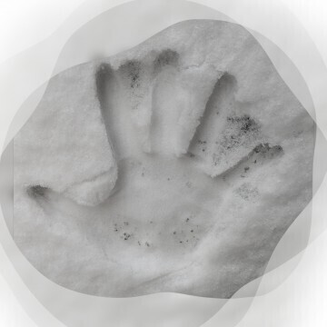 ☆SNOW! SNOW! SNOW!☆