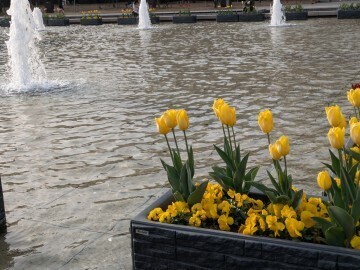 もうすぐ出勤です