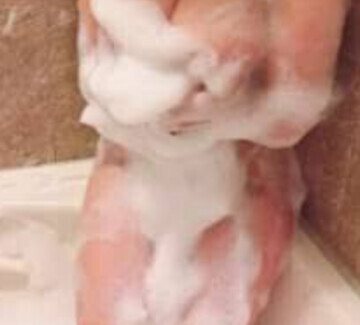 出勤いたしました