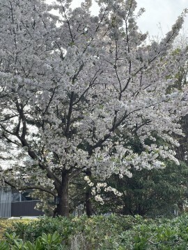 やっぱり癒されちゃった(o^^o)