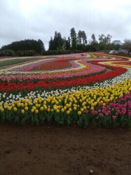 明日のご予約ありがとうございます。